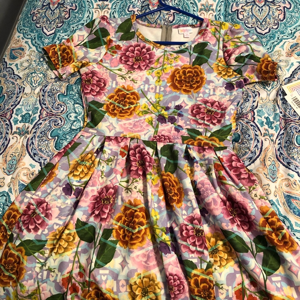 BNWT LLR AMELIA